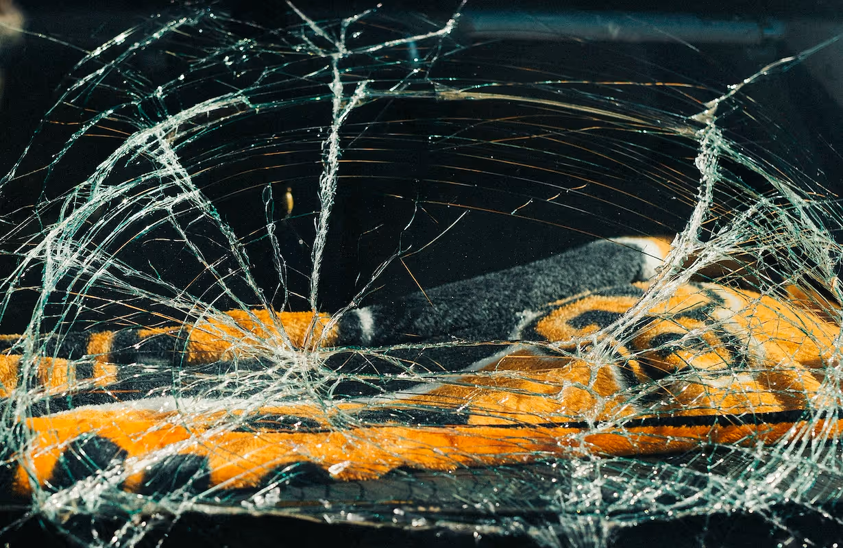 How to start a auto glass repair business