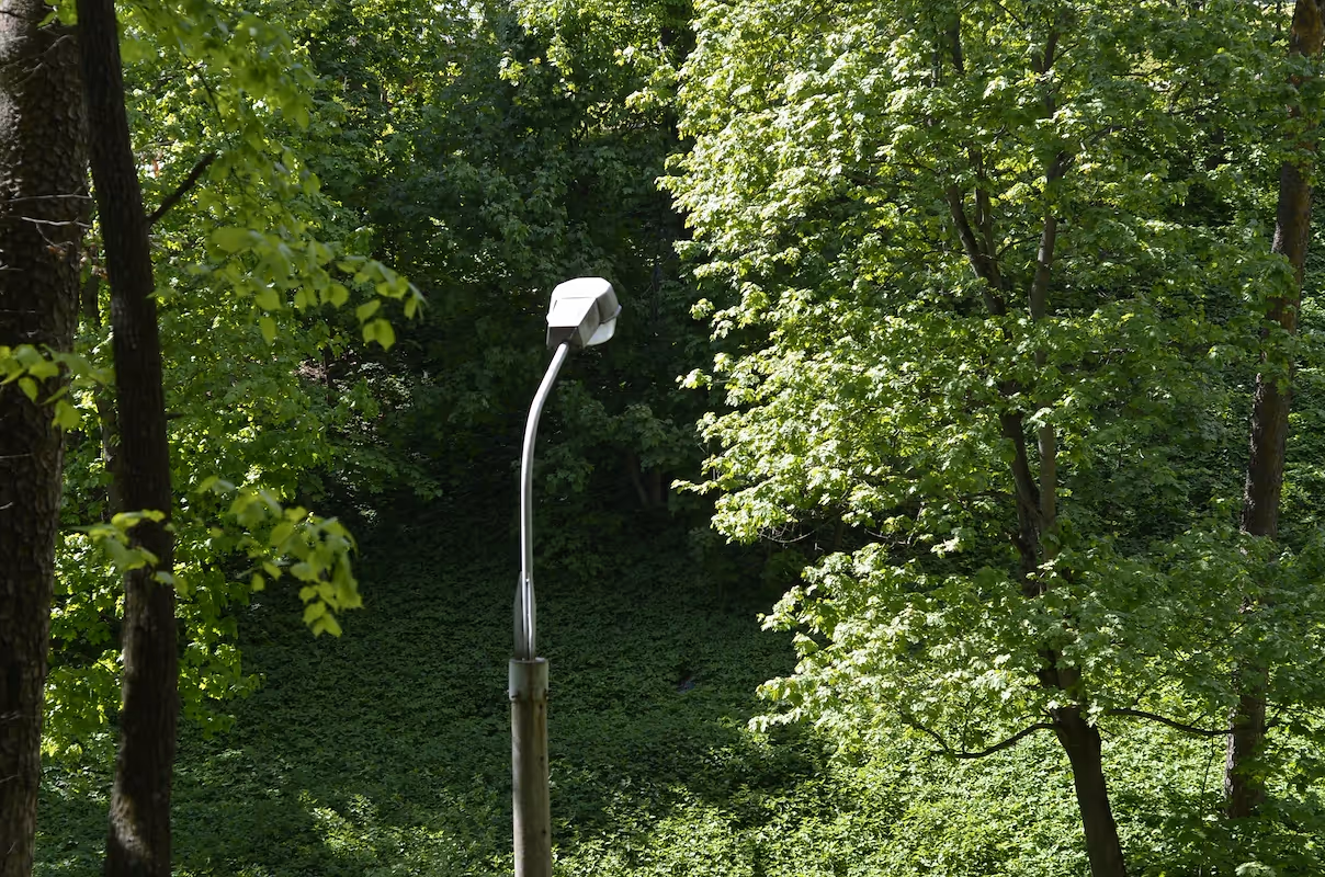 How to start a landscape lighting business