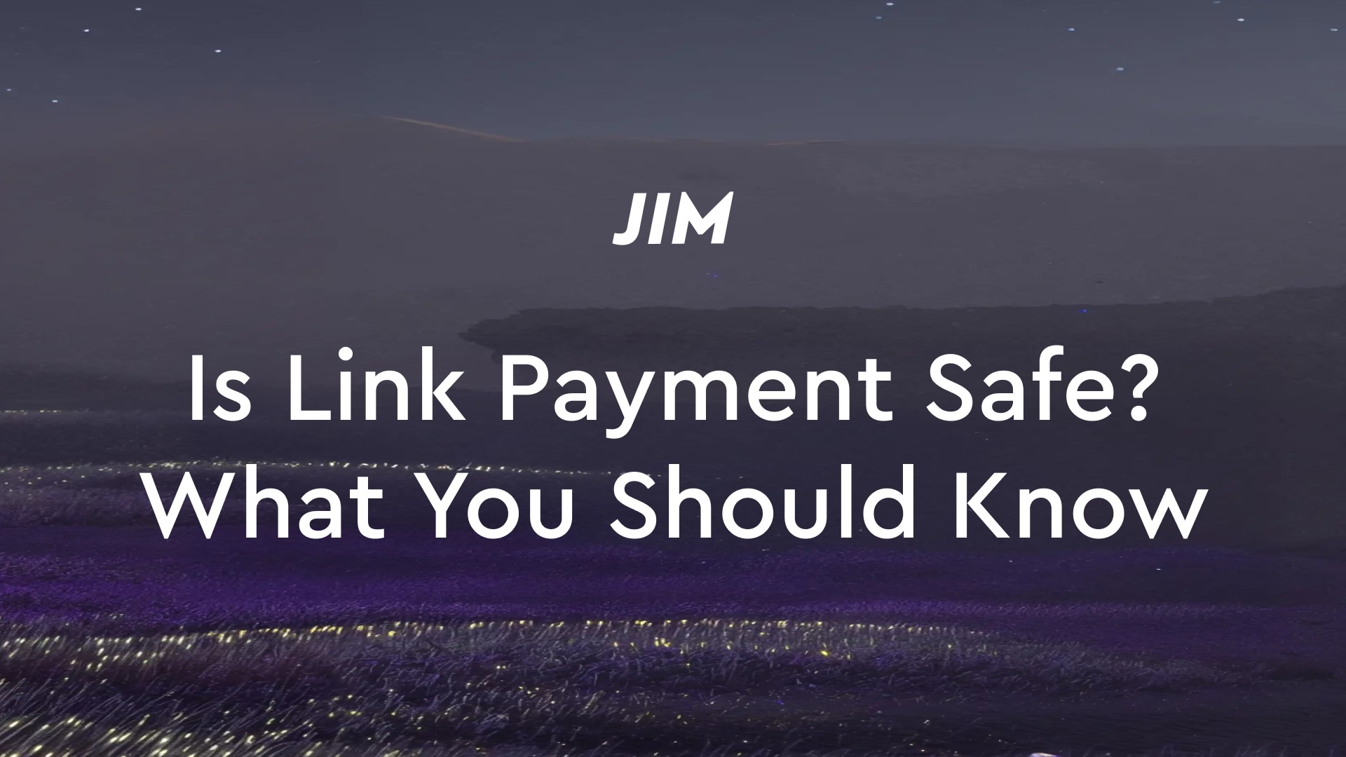 Link Payment Safe