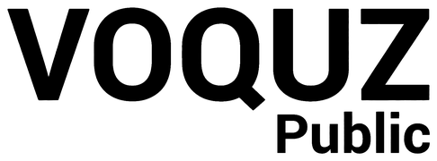 Logo veoneer Kunde SnC Solution