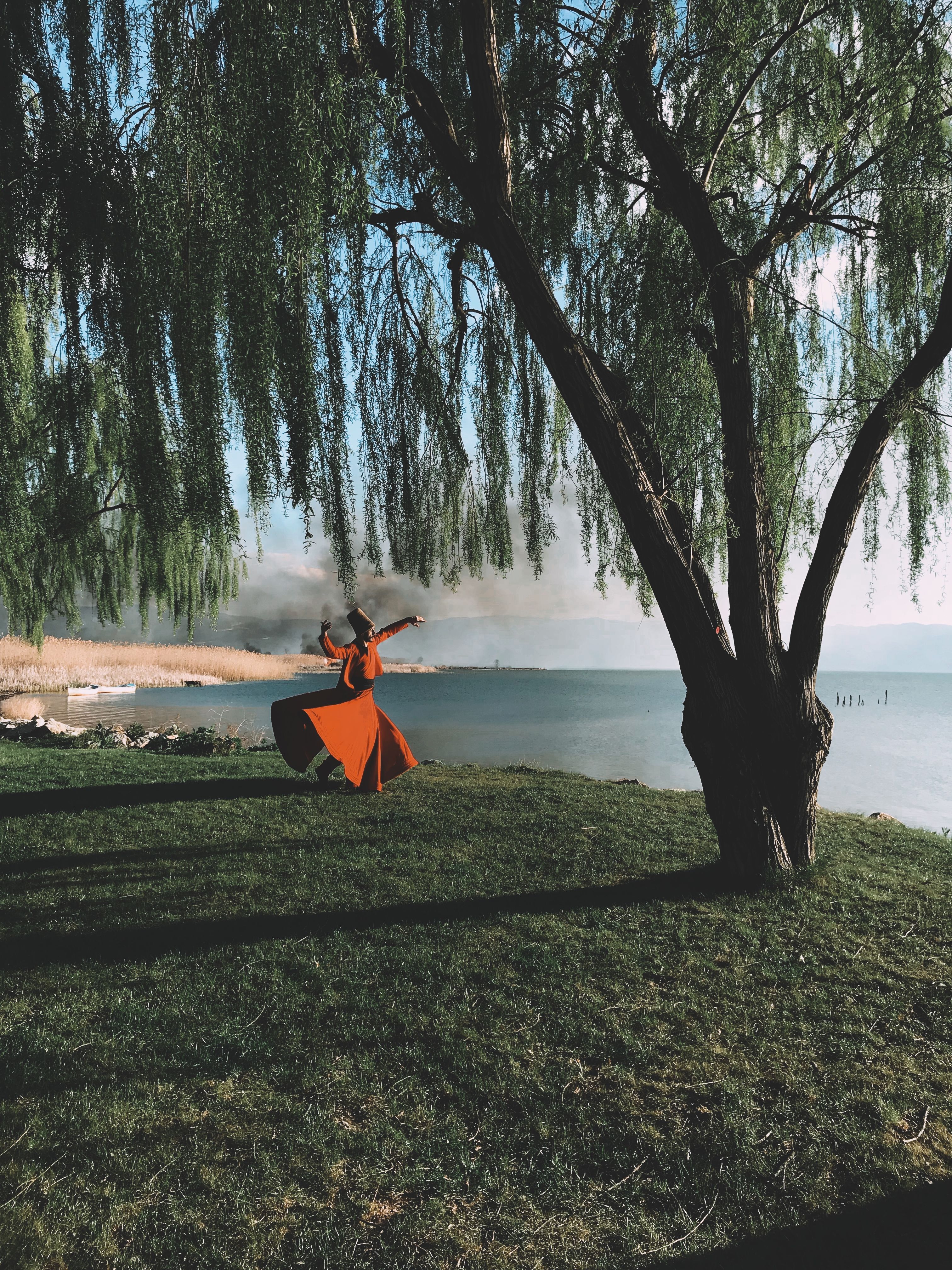 Figure in an orange dress spinning beside a willow tree by a lake