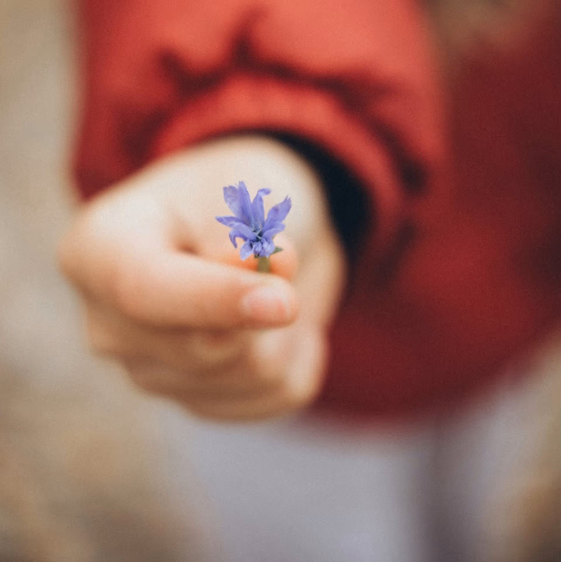 A child in a red jacket offering a small, purple flower