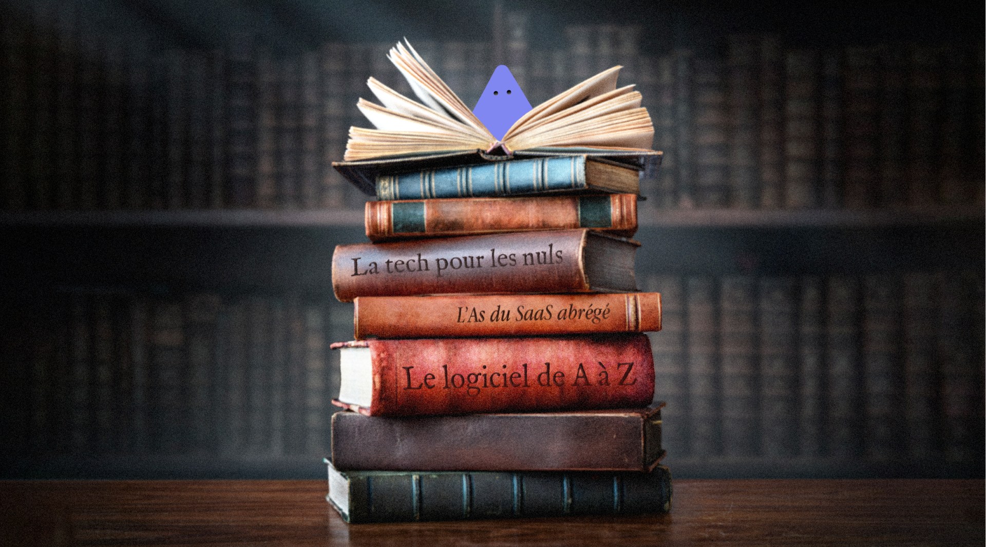 Un nacho trône sur une pile de vieux livres dont la tranche est apparente