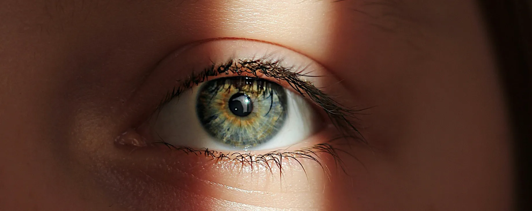 Macro photograph of a hazel-colored human eye with detailed iris texture