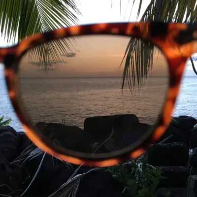 Sunset seascape viewed through tortoiseshell sunglasses with palm leaves