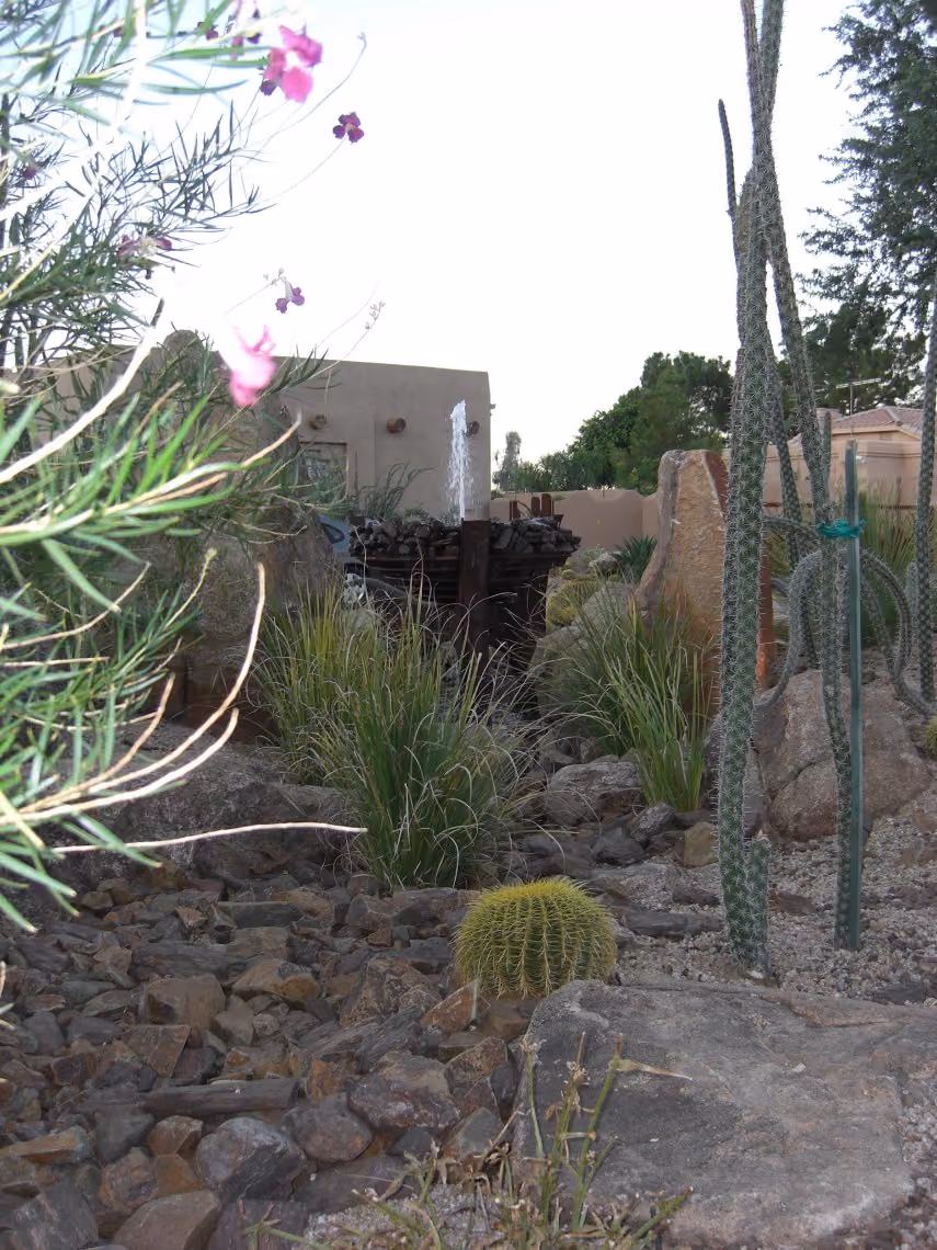xeriscaping Phoenix