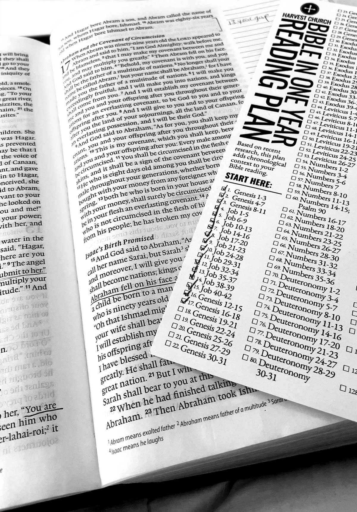 Harvest Church - image of Bible in One Year reading plan