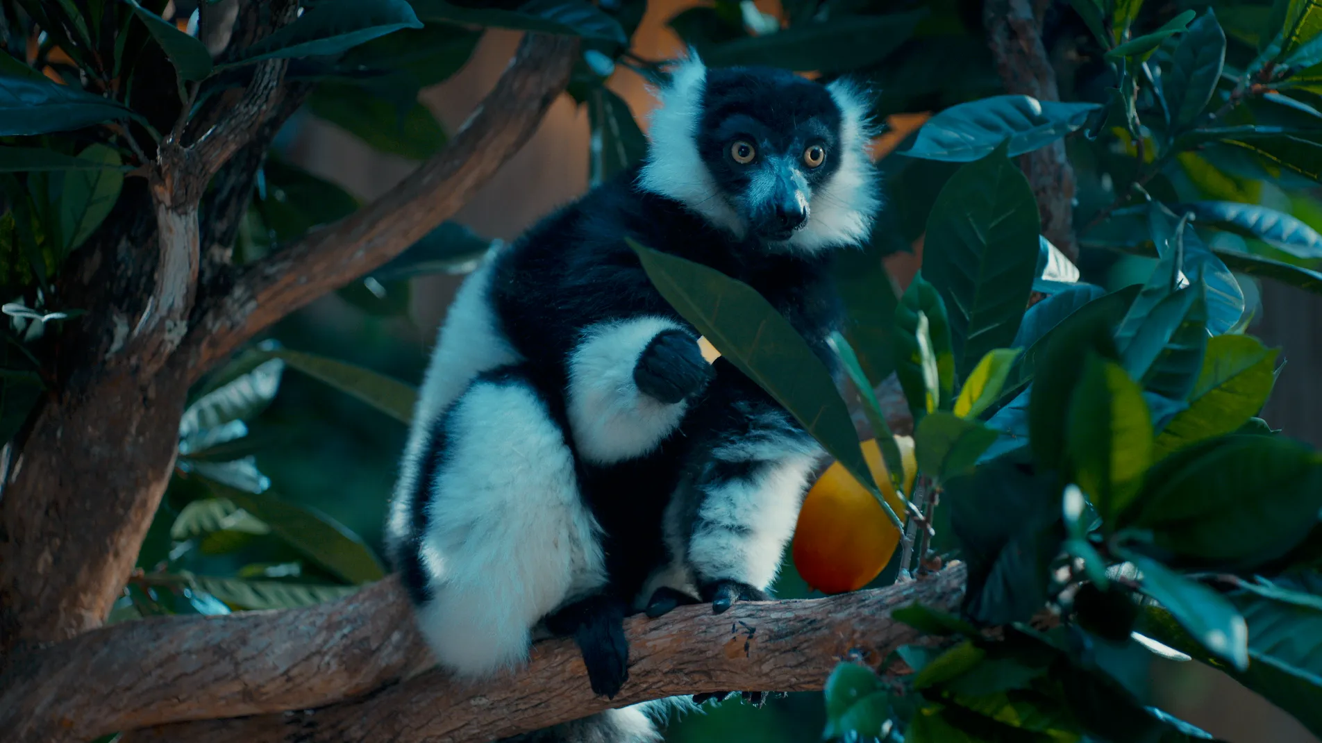 A view of men in soccer gear against a white background.