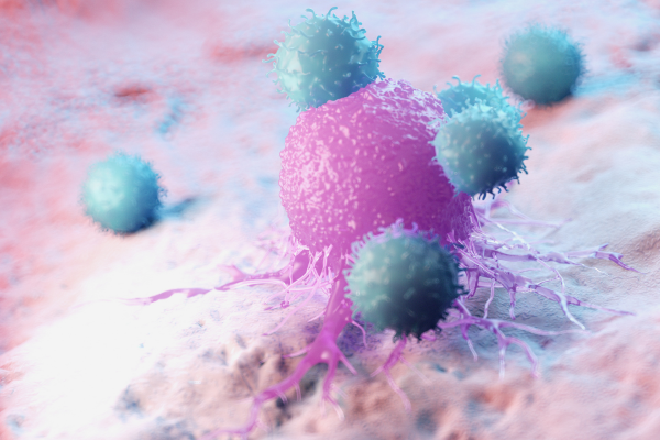 Clinical Trials Testing T Cell Receptor Cell Therapy: Immatics’ PRAME Program