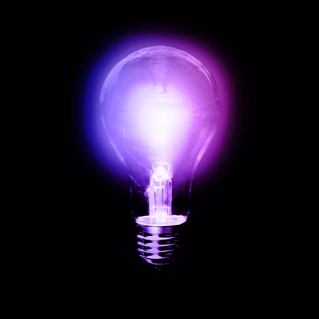 Purple lightbulb, signifying ideas of independent voters