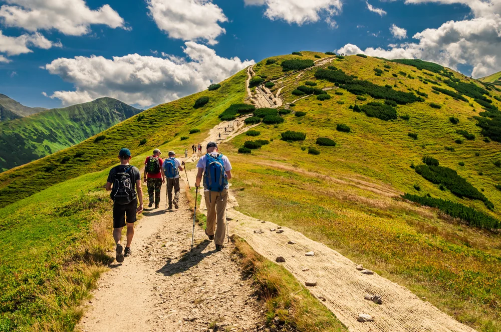 Group of hikers walking along a scenic mountain trail on a sunny day with green hills and blue sky – ideal for walking holidays and outdoor adventures