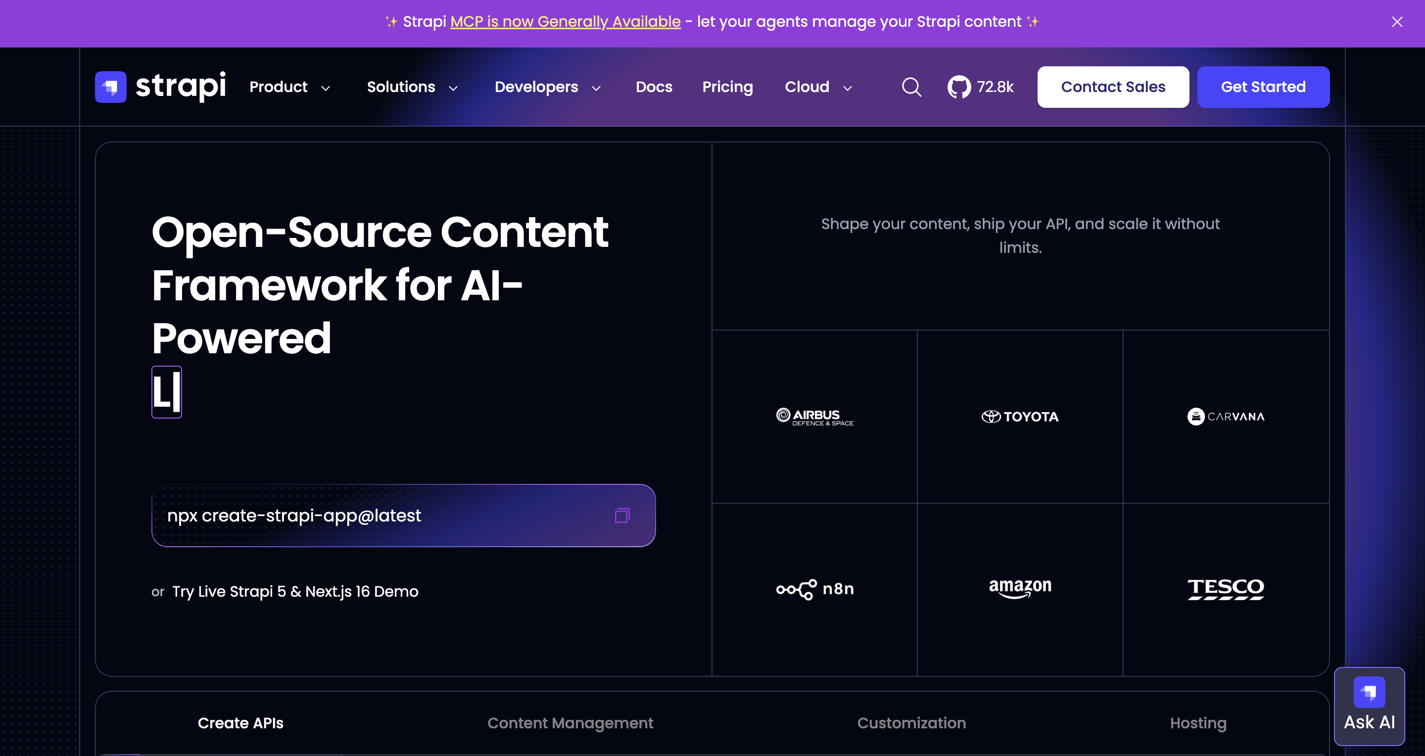 strapi homepage