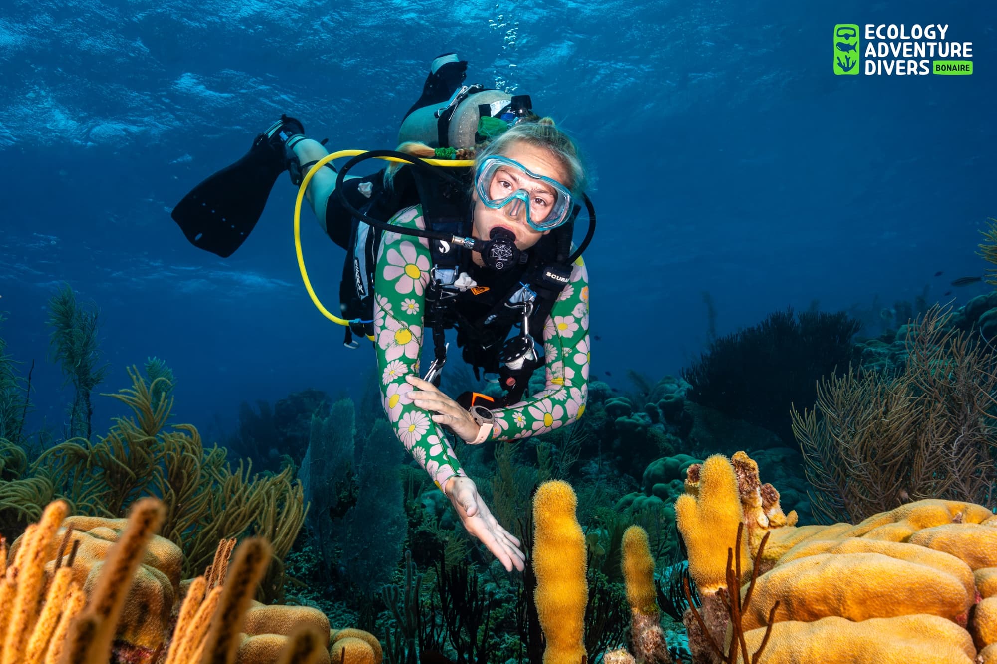 Scuba diver in floral wetsuit exploring colorful coral reef underwater in clear blue water.