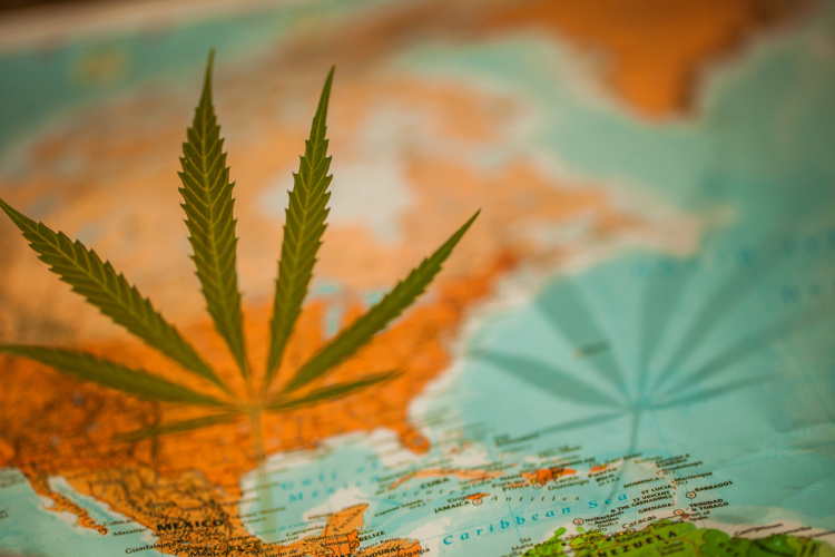 Restriction for Dispensaries 