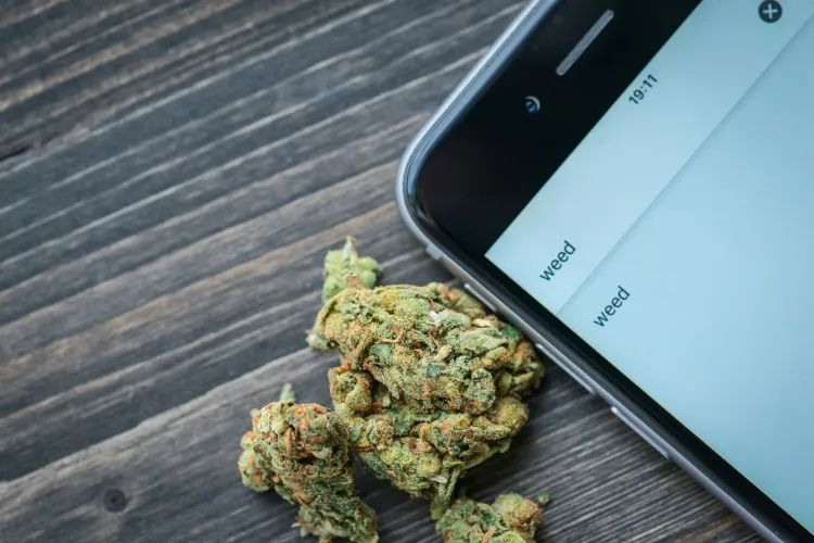 Google Activity Cards search