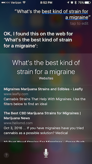 Dispensary Voice Search Optimization screen grab