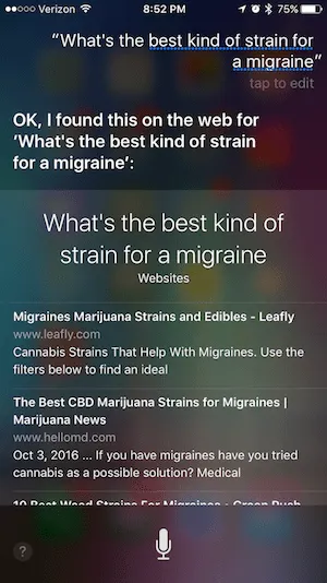 Dispensary Voice Search Optimization screen grab