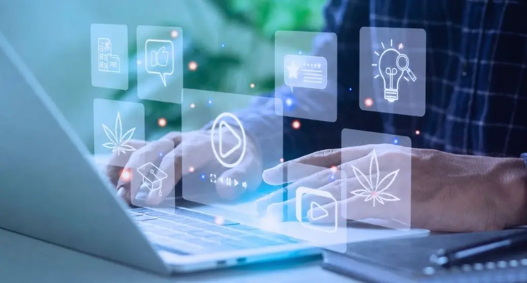Cannabis Content Writing Services: What to Look For