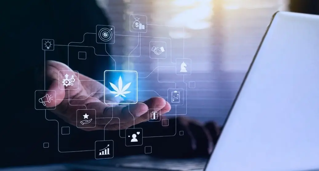 Cannabis Branding Strategies: Stand Out in a Crowded Market