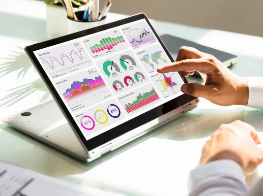 Cannabis SEO Success Website