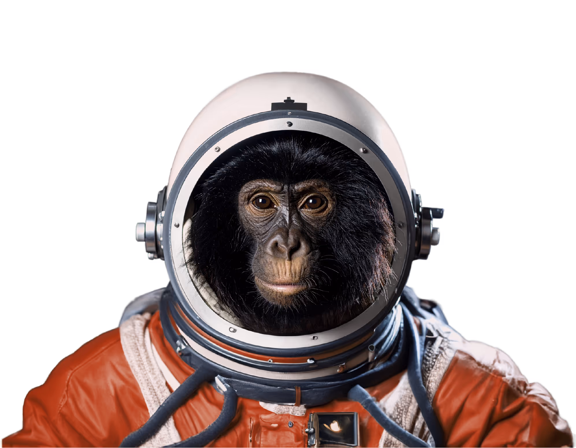 mono con casco de astronauta