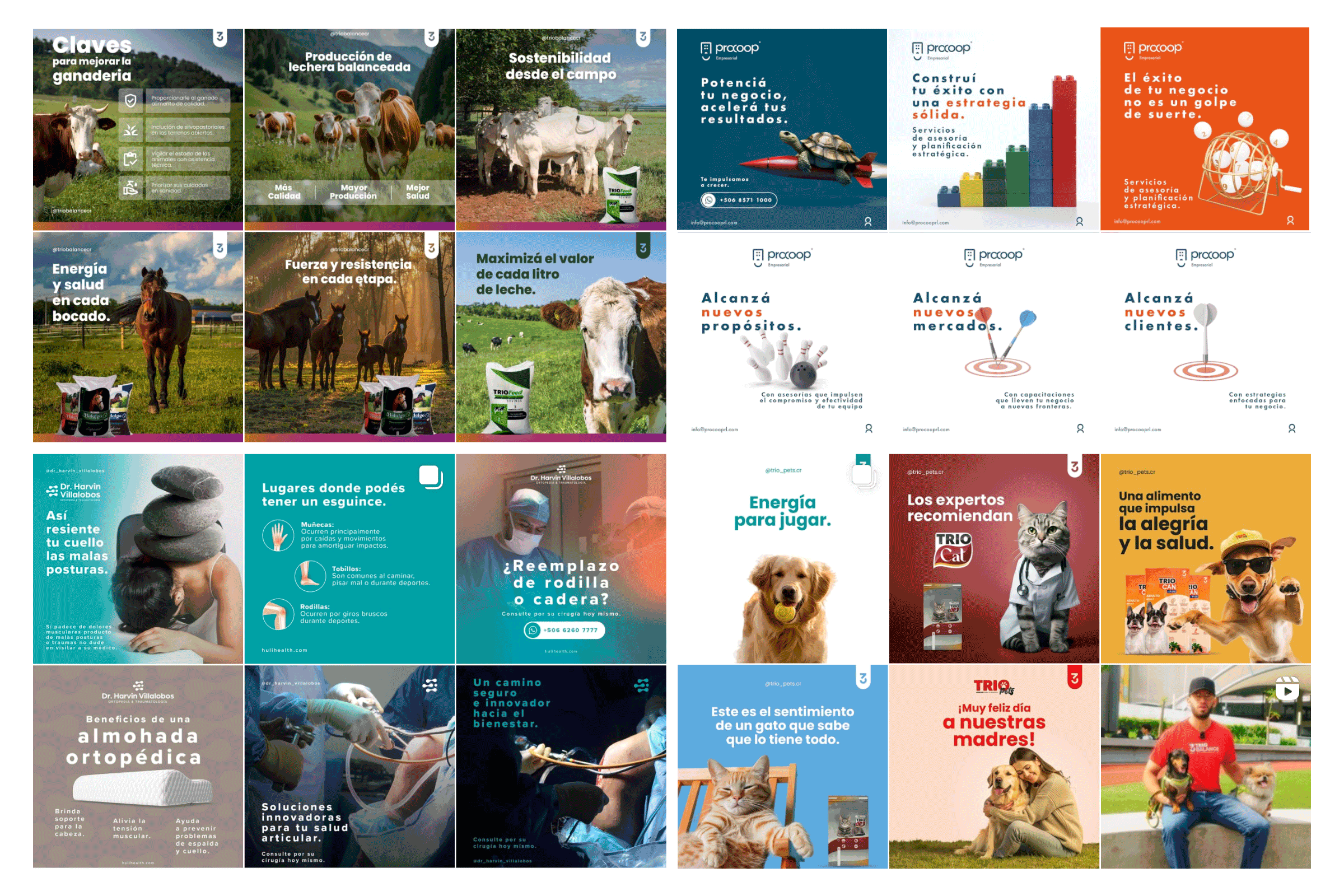 contenido redes sociales