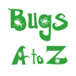 Professional termite control treatment by Bugs A to Z pest technician