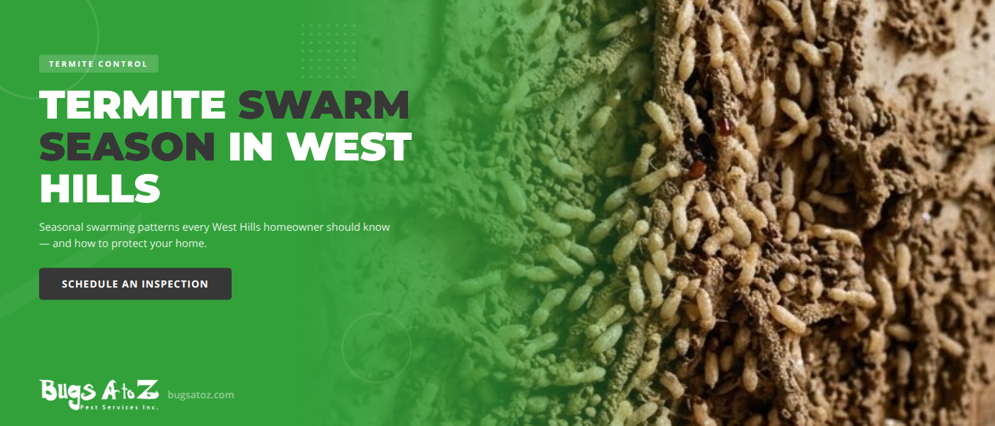 Termite swarmers with discarded wings on a windowsill in a West Hills CA home