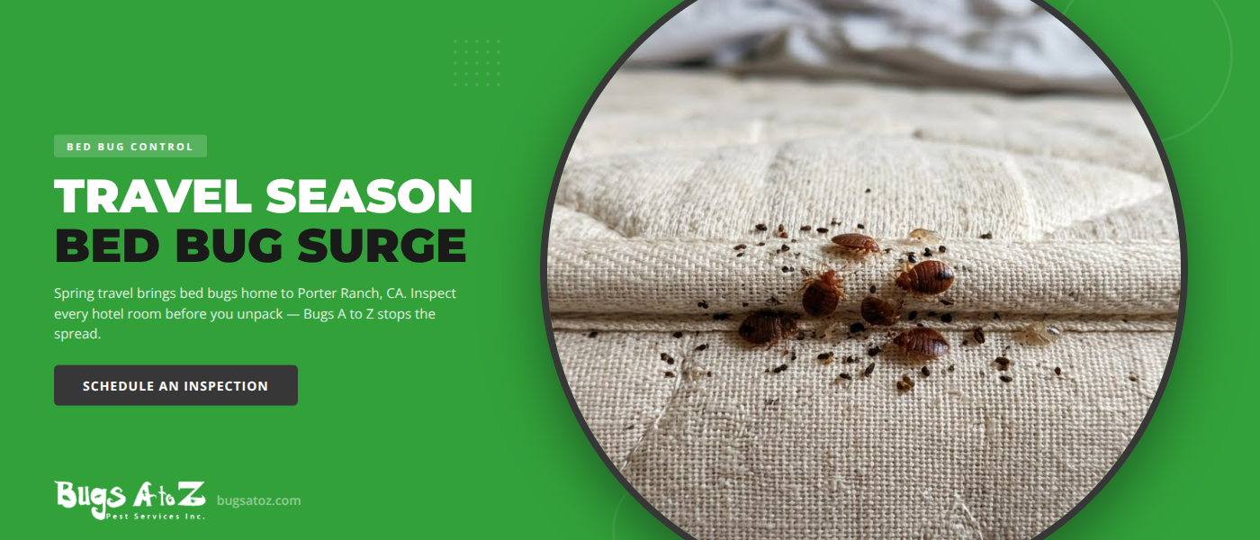 Spring travel bed bug inspection in a Porter Ranch CA bedroom - mattress seam check after a hotel stay - Bugs A to Z