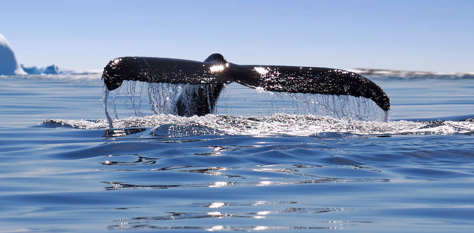 Corpag ESG framework