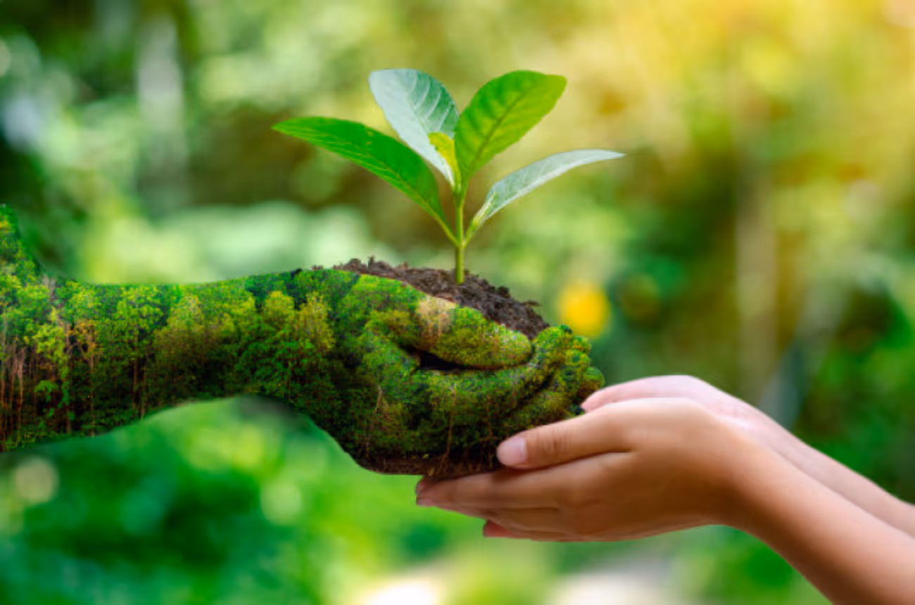 A14 Jeûne & Écologie : 4,2kg CO2 Économisés par Jour