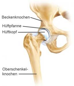 Hüfte