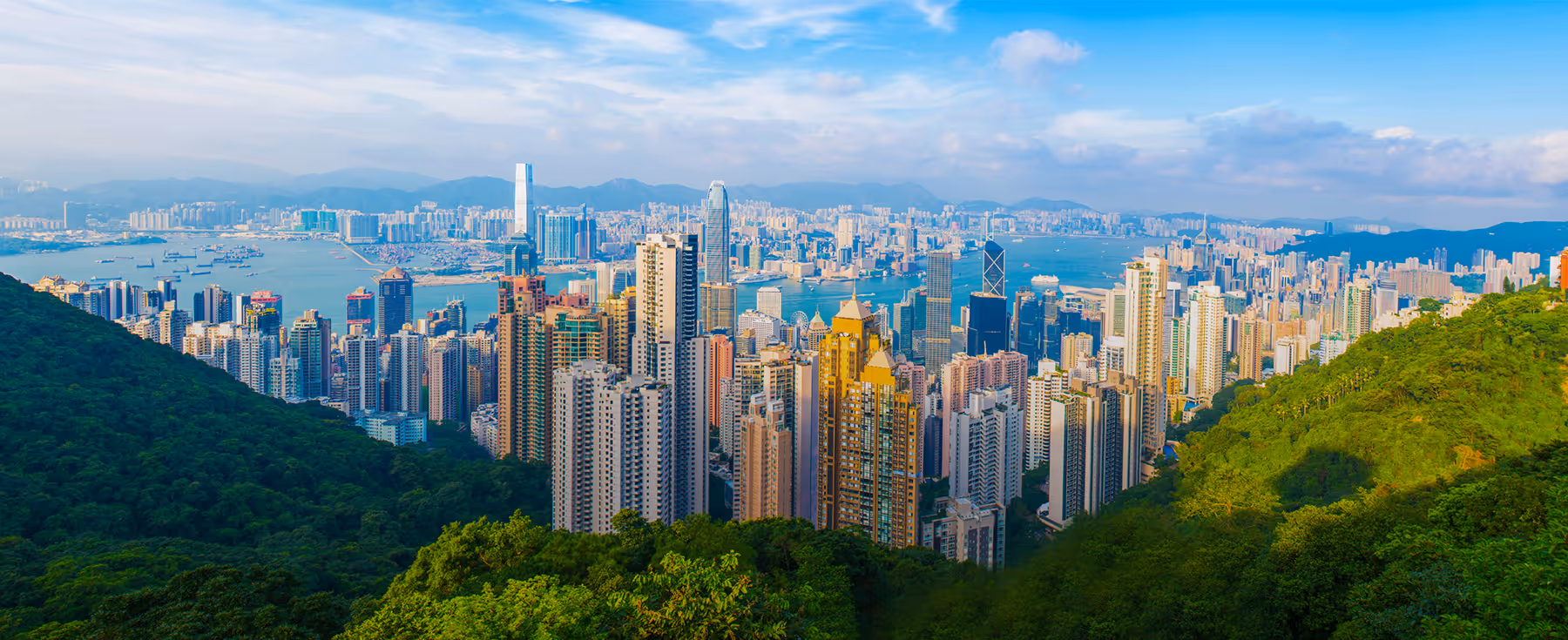 Hong Kong skyline and harbor