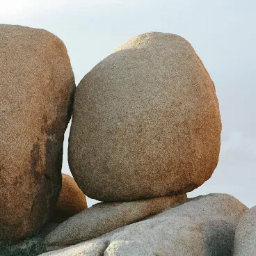 Bright green grass on rock symbolizes simplicity and efficiency, reflecting how our PDF SDK streamlines document manipulation and software development. Years of research and customer collaboration drive innovative solutions, empowering developers to reduce time spent on tasks and stay ahead of the competition.