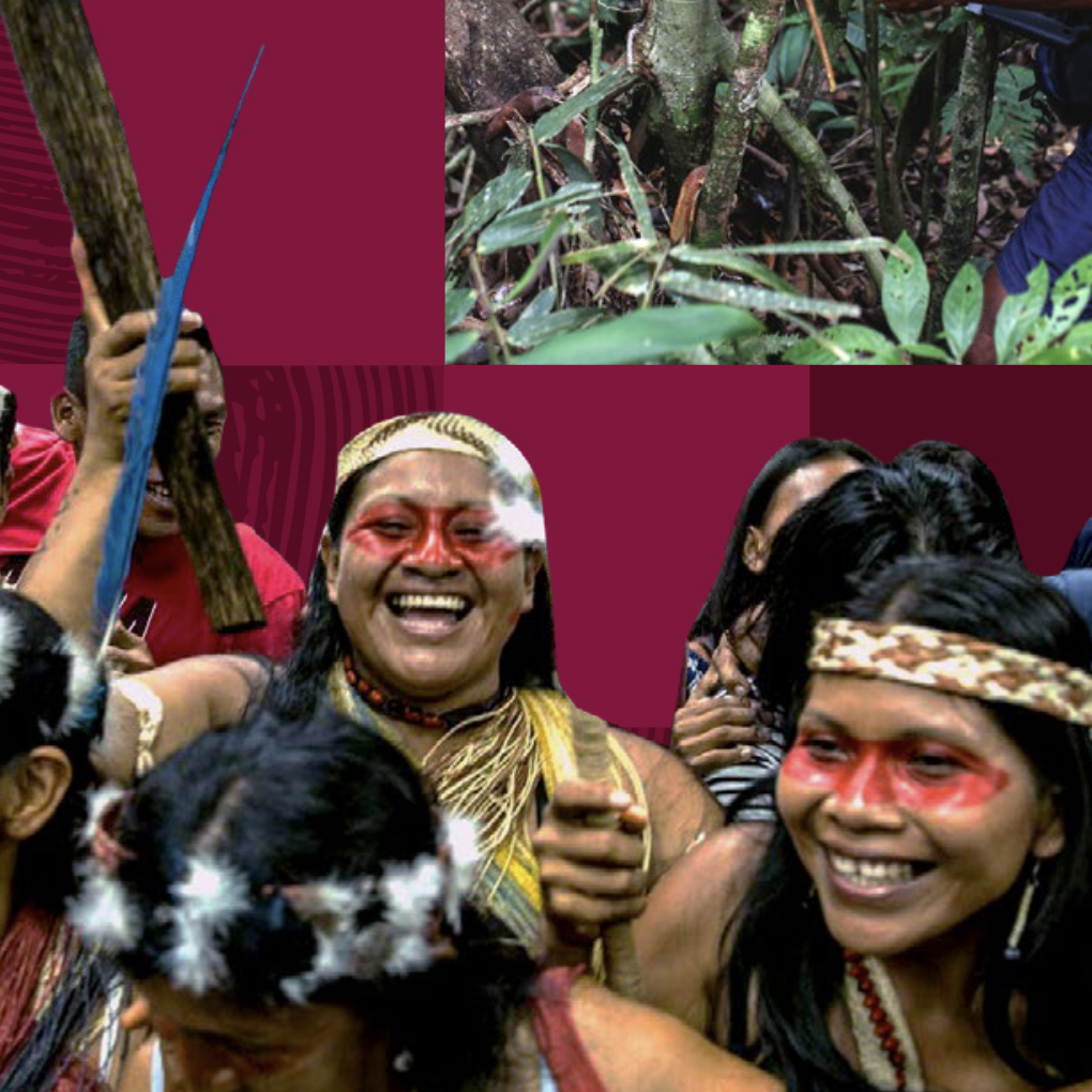 Executive Summary Graphic