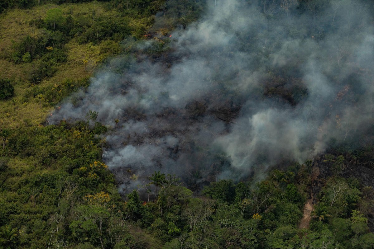 Aerial photograph of smoke from fires rising out of the forest