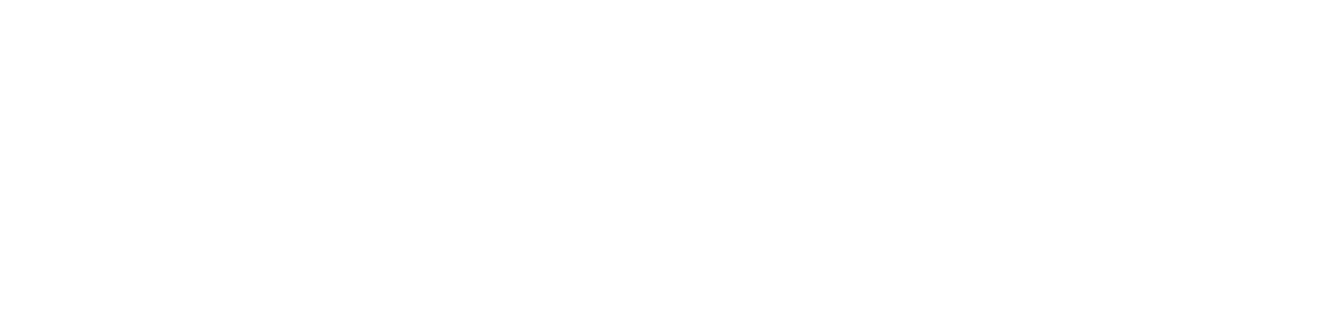 Colorful kitsch decorative items including a green ceramic frog, cartoon owl, blue star plush, and a red and white clipped bird.