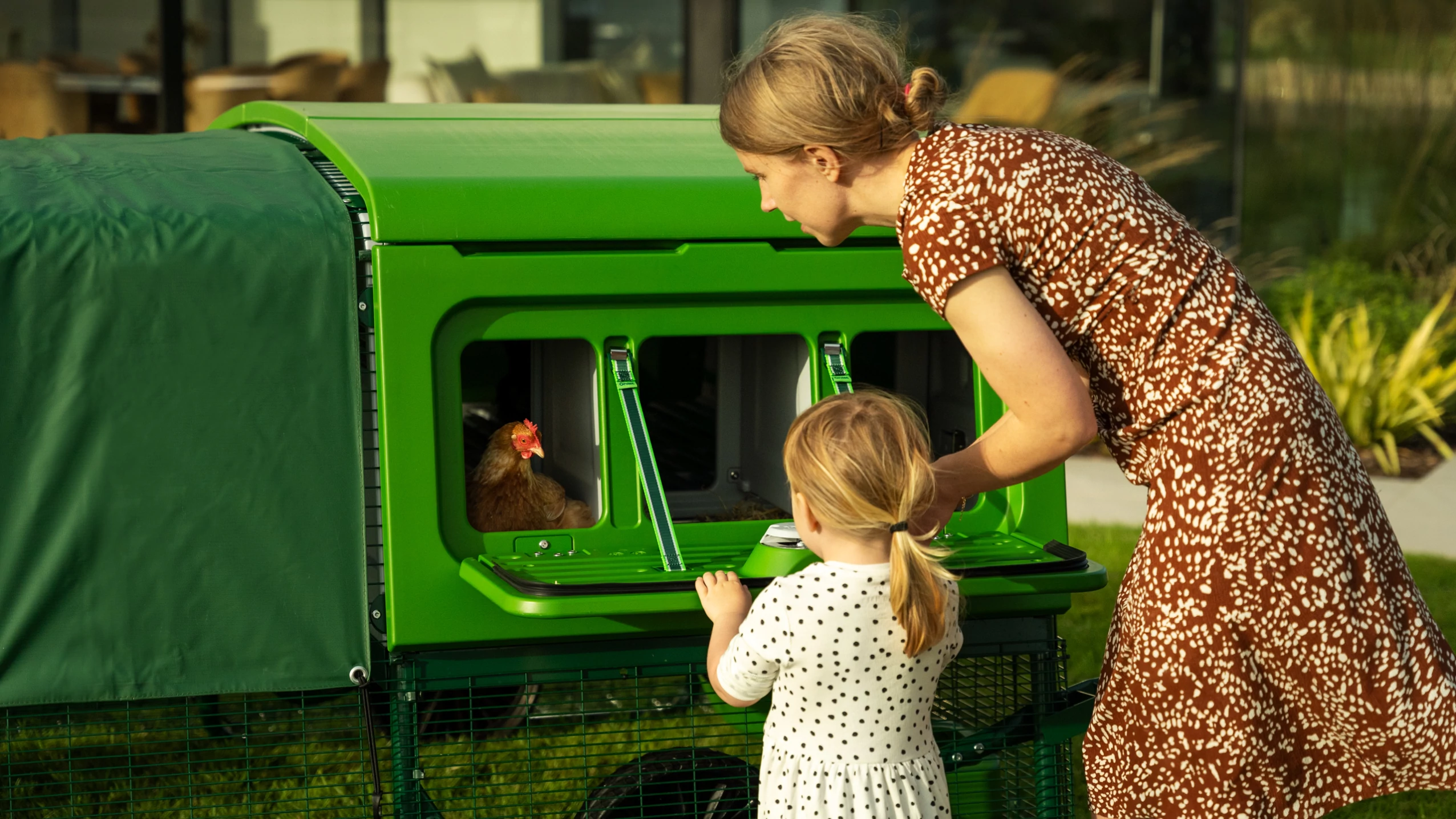 EGLU PRO - CHICKEN COOP FOR 10 LARGE HENS