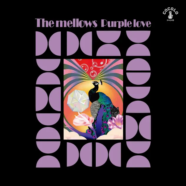 大阪のドリームポップ・バンドThe mellows、待望の新曲“Purple