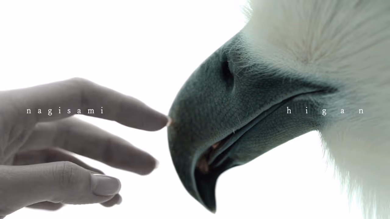 nagisamiが新曲“higan”のMVを公開｜執着からの解放を描くヘヴィ・シューゲイズ