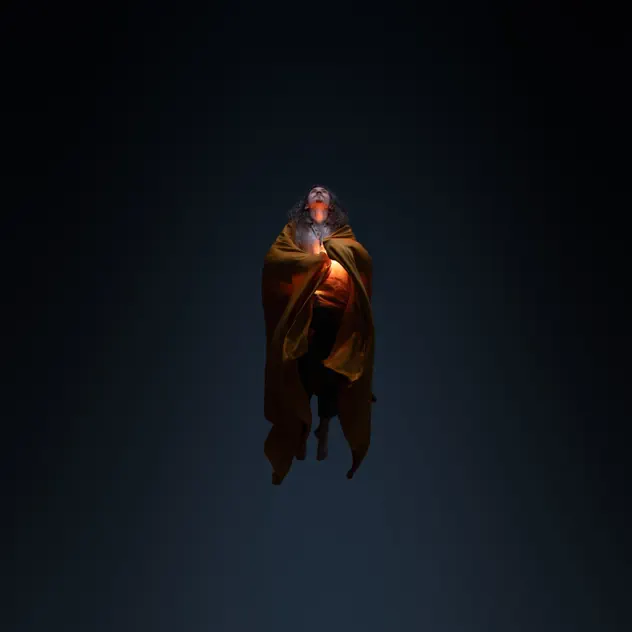 gísli gunnarsson - úr öskunni