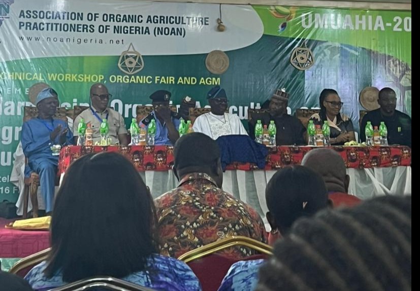 The image depicts a gathering at a workshop or fair for the Nigerian Organic Agriculture Association, featuring multiple individuals in traditional attire, likely discussing organic farming practices.AI-generated content may be incorrect.
