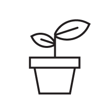seedling in a pot icon