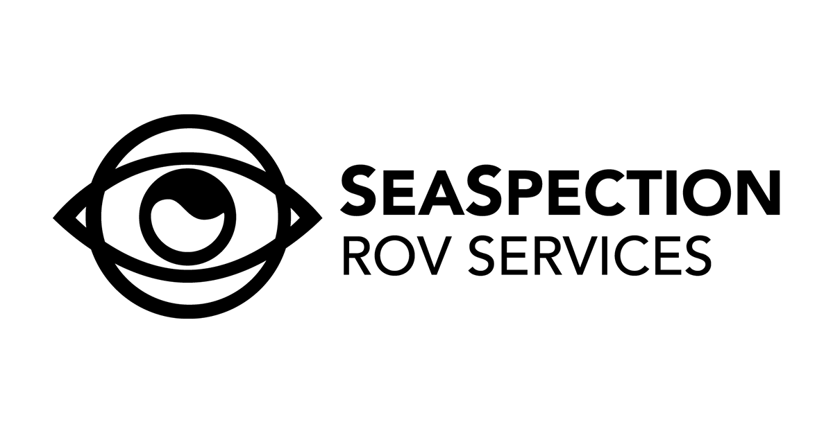 Voyis accessories seaspection