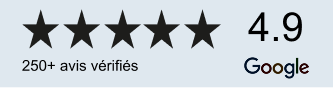 badge google avis