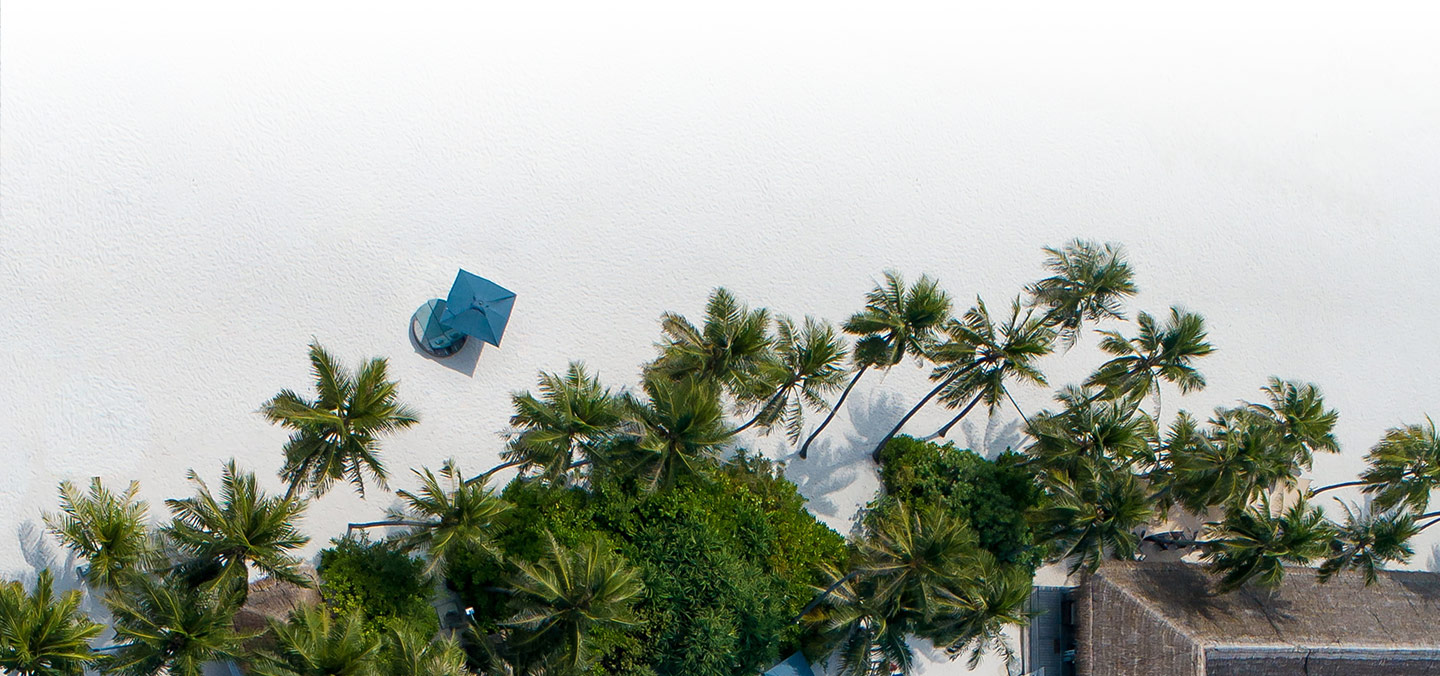 white sands and coconut tree huts