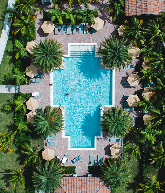 pool surrounded with trees