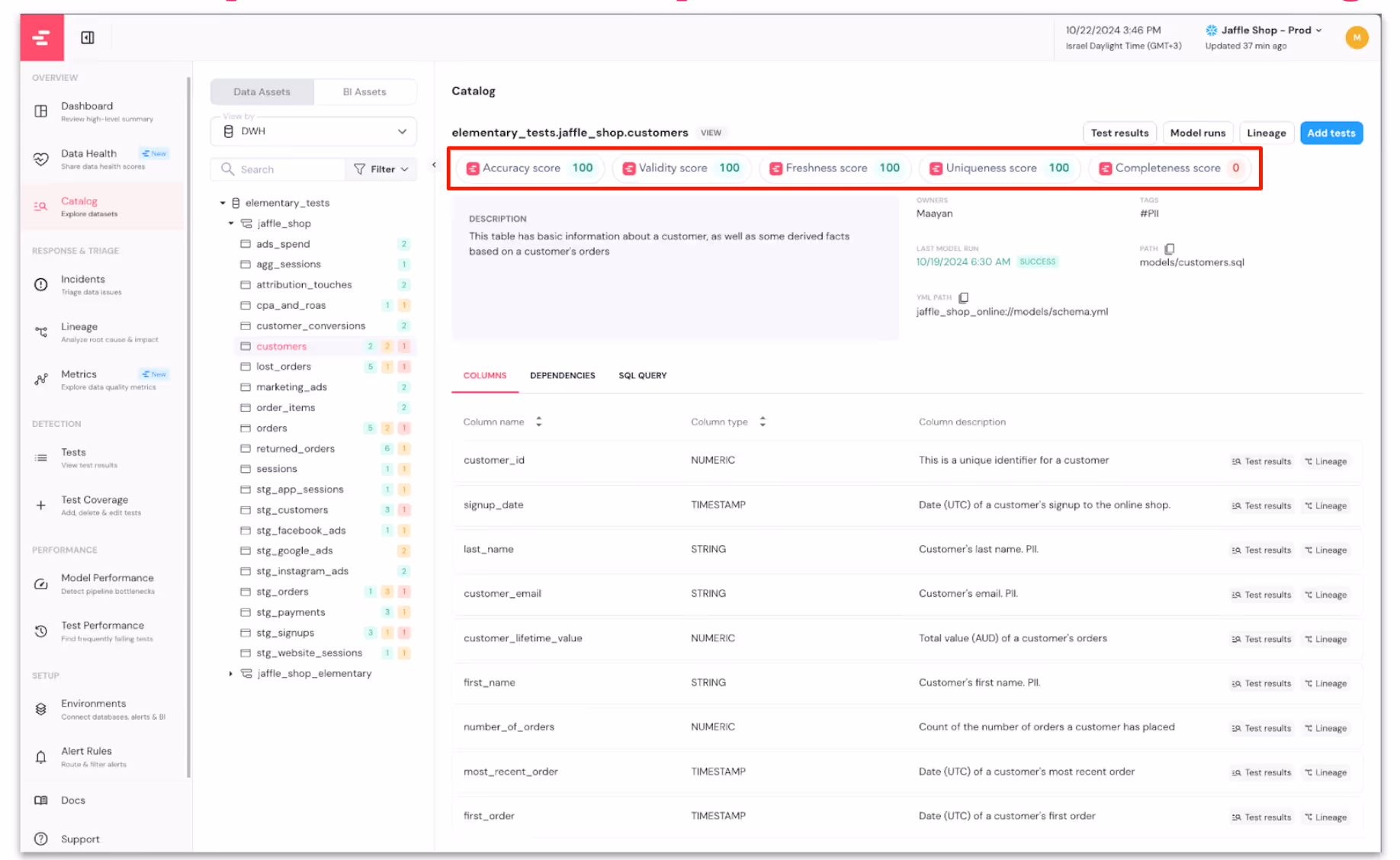 Screenshot of a data dashboard showing a catalog with a list of columns and their details, such as column name, description, and column types. The highlighted top section displays scores for accuracy, validity, freshness, uniqueness, and completeness.