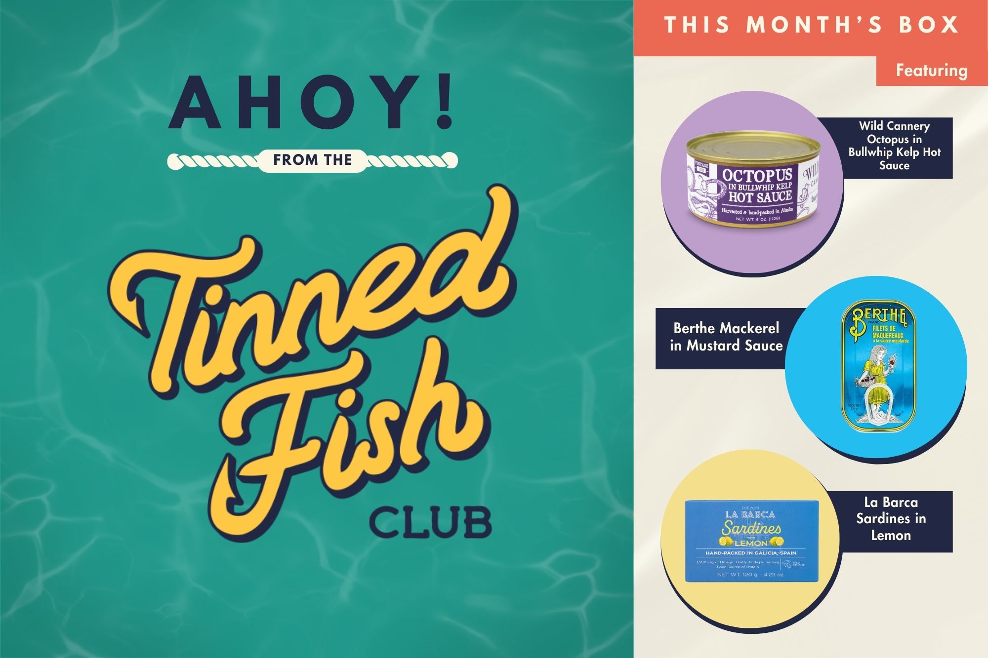 Tinned Fish Club March 2024 selection