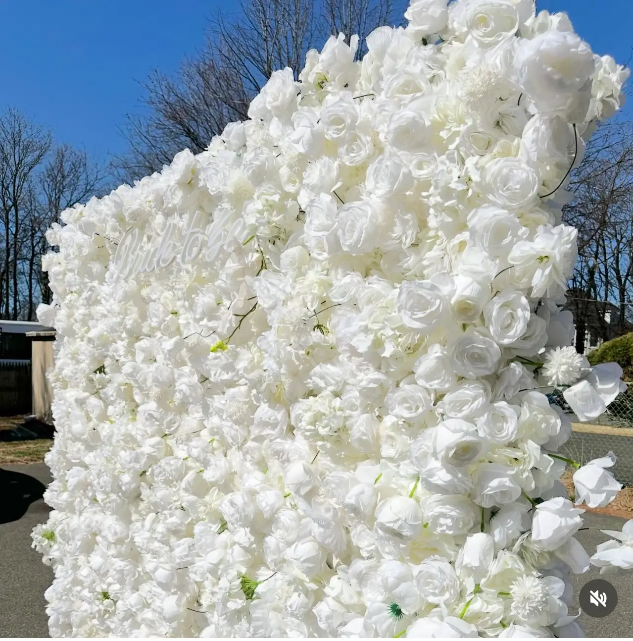 Elegant white rose backdrop featuring a sign that says "Bride to be," creating a festive atmosphere.